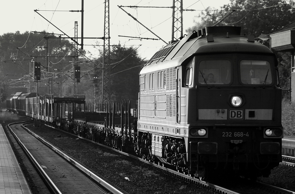 232 668-4 mit dem GD 47417 whrend der Durchfahrt in Schleswig am 28.07.2014.