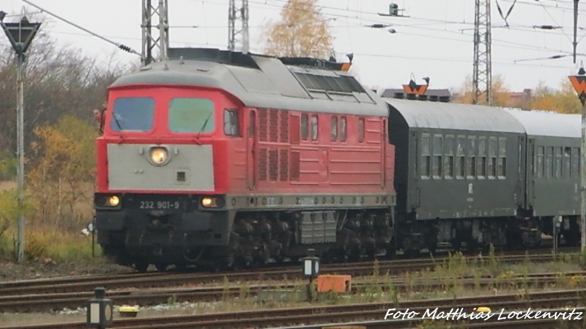 232 901 der WFl beim Rangieren des Sonderzuges im Bahnhof Stralsund Hbf am 7.11.15