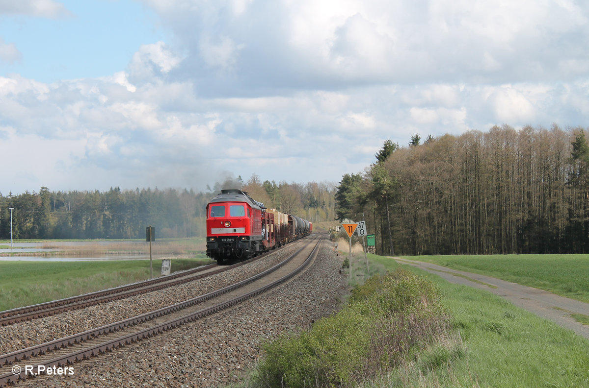 233 093 zieht bei Oberteich den 51717 Nürnberg - Seddin Frankenwald Umleiter. 24.04.16