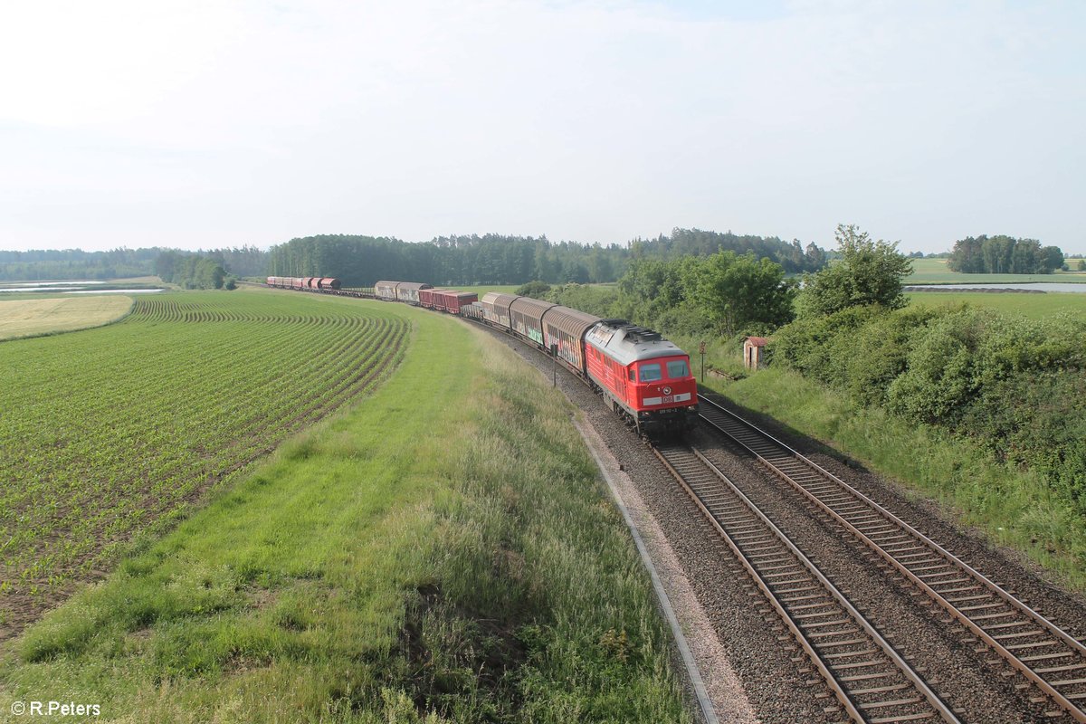 233 112-2 zieht den EZ 51716 Nürnberg - Senftenberg bei Oberteich. 17.06.20