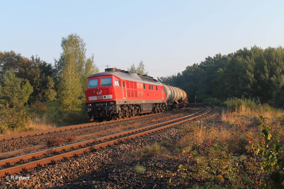 233 173-7 mit dm 45360 Cheb - Nrnberg in Reuth bei Erbendorf. 30.08.13