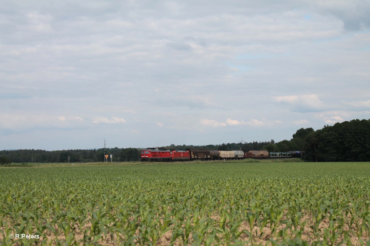 233 176 + 185 051 mit dem 51750 NNR - Leipzig Engelsdorf Frankenwald Umleiter bei Oberteich. 16.06.15