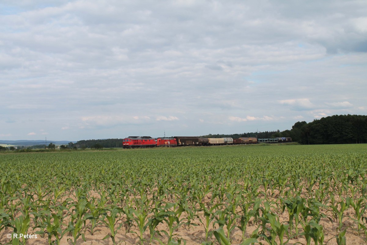 233 176 + 185 051 mit dem 51750 NNR - Leipzig Engelsdorf Frankenwald Umleiter bei Oberteich. 16.06.15