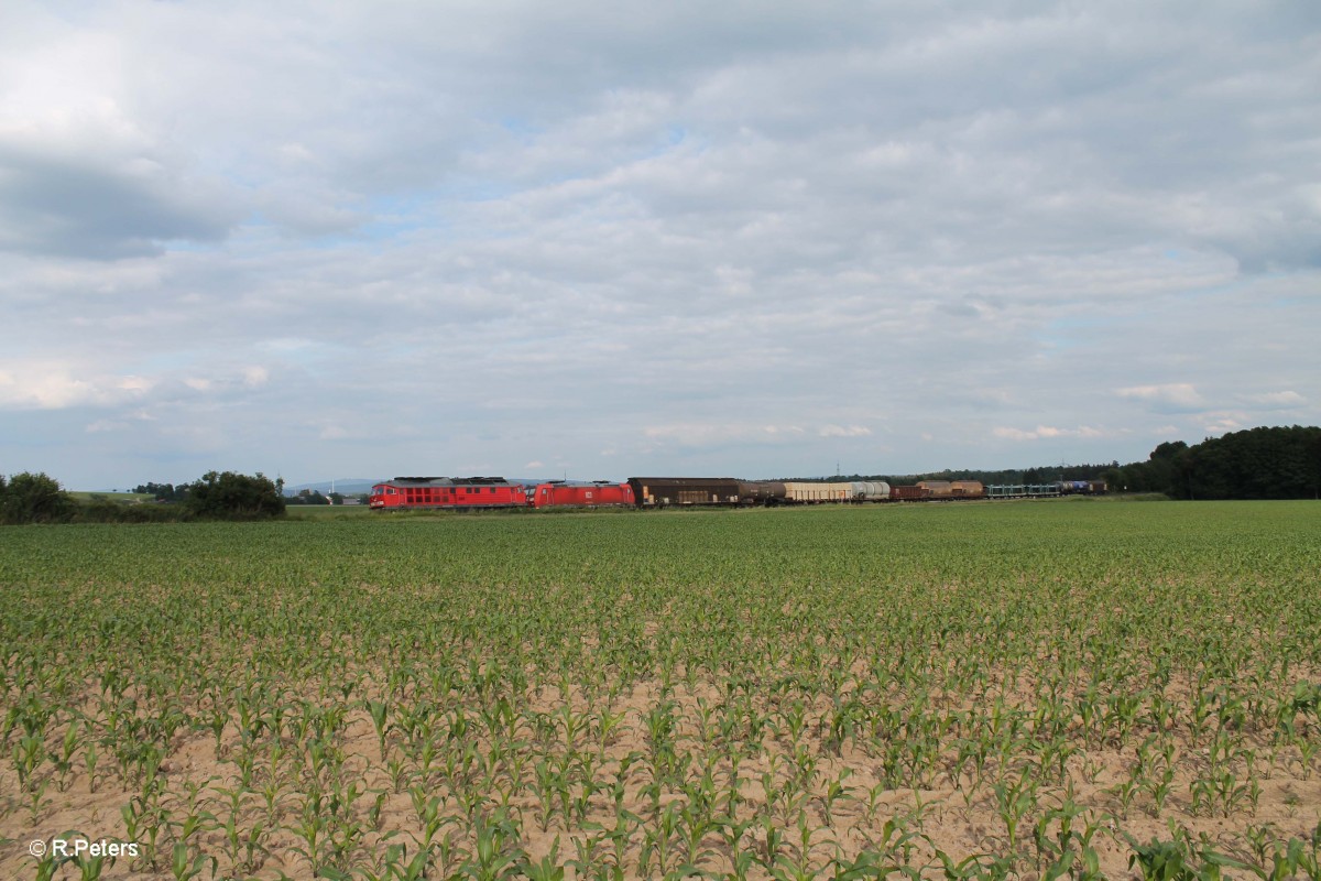 233 176 + 185 051 mit dem 51750 NNR - Leipzig Engelsdorf Frankenwald Umleiter bei Oberteich. 16.06.15