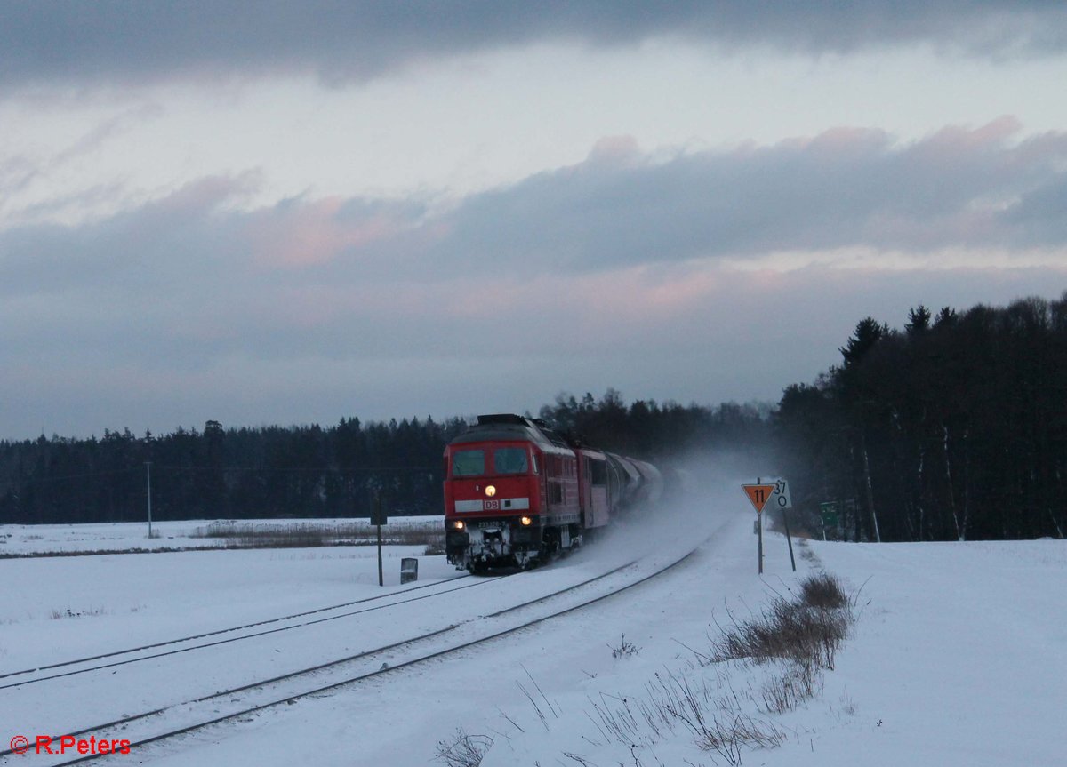 233 176 und 155 219 mit dem 51724 NNR - LE bei Oberteich. 17.01.17