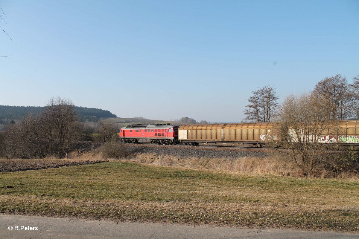 233 176-7 mit dem 45365 bei Lengenfeld. 13.03.14