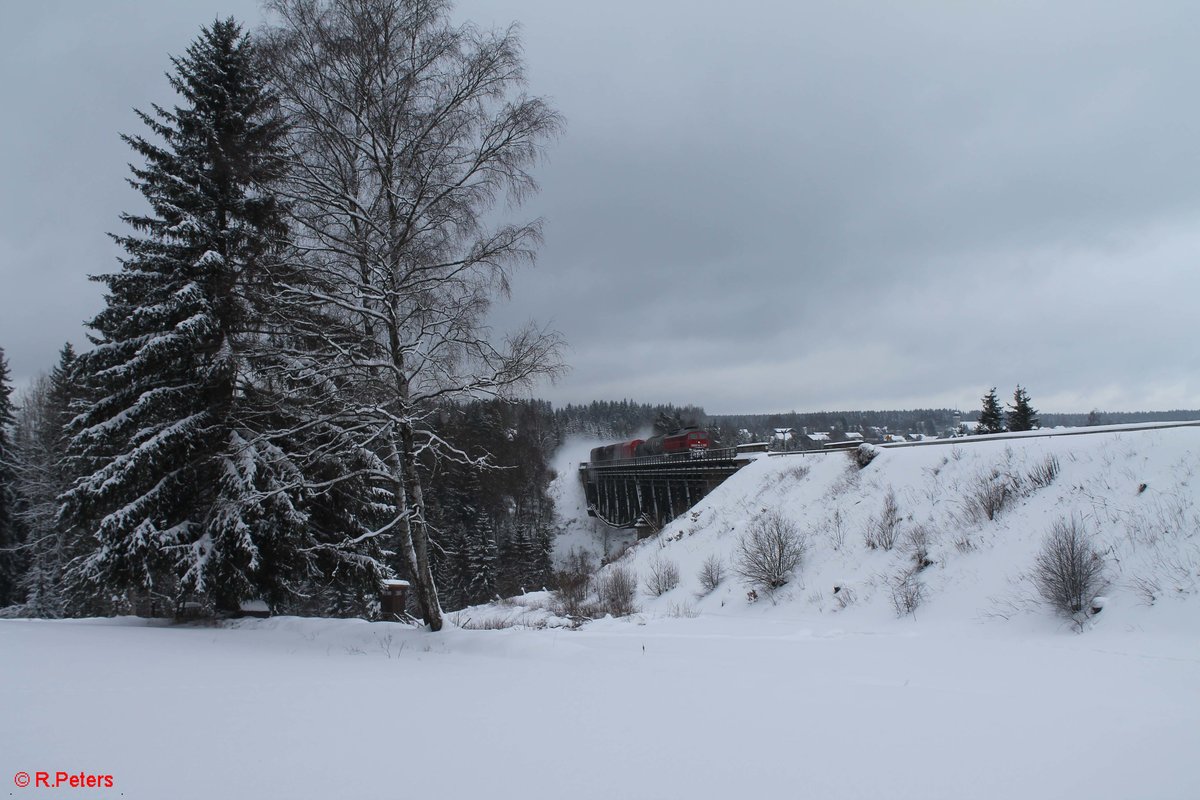 233 176 überquert das Fichtelnaab Viadukt bei Neusorg mit dem 45362 Cheb - Nürnberg. 15.01.17