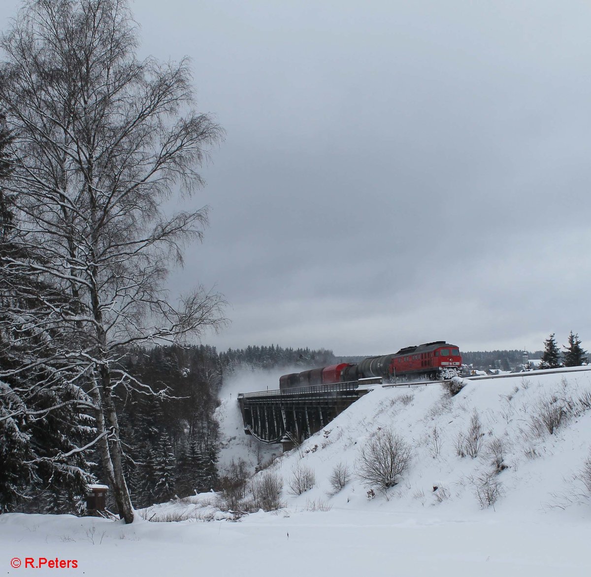 233 176 überquert das Fichtelnaab Viadukt bei Neusorg mit dem 45362 Cheb - Nürnberg. 15.01.17