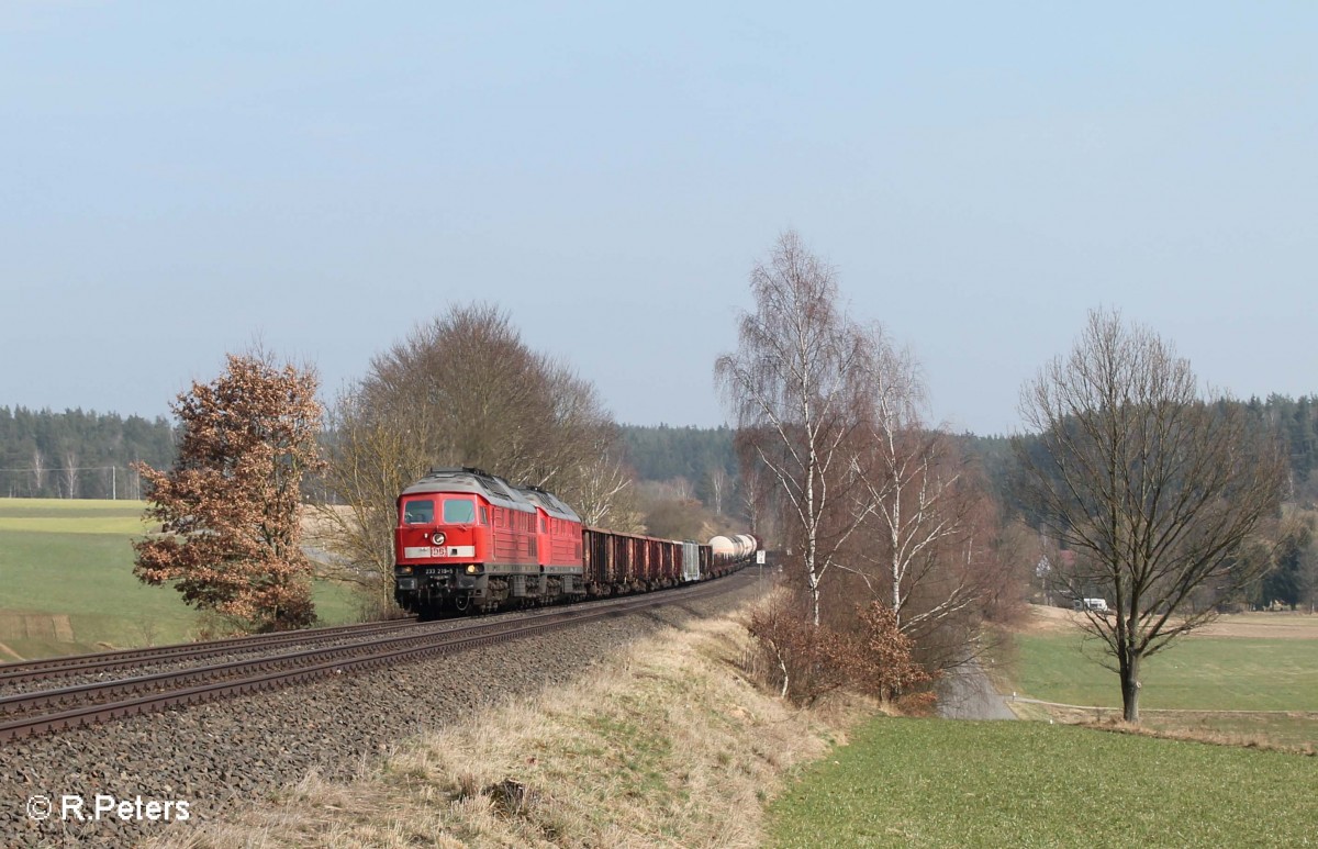 233 219 und 232 280 und der 45365 NNR - XTCH bei Naabdemenreuth. 23.03.15