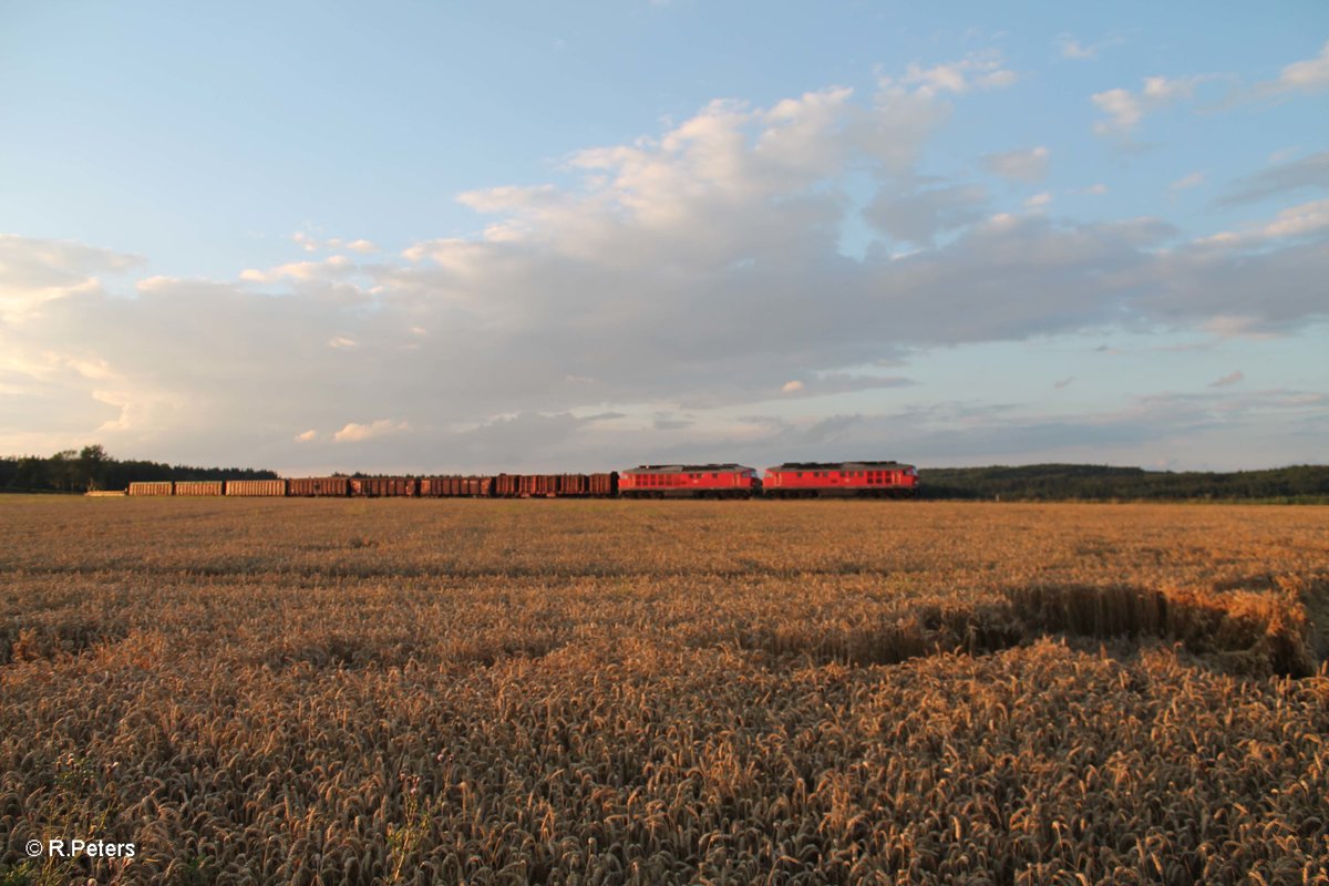 233 306 + 233 322 ziehen mit dem 45366 XTCH - NNR bei Oberteich vorbei. 29.06.17