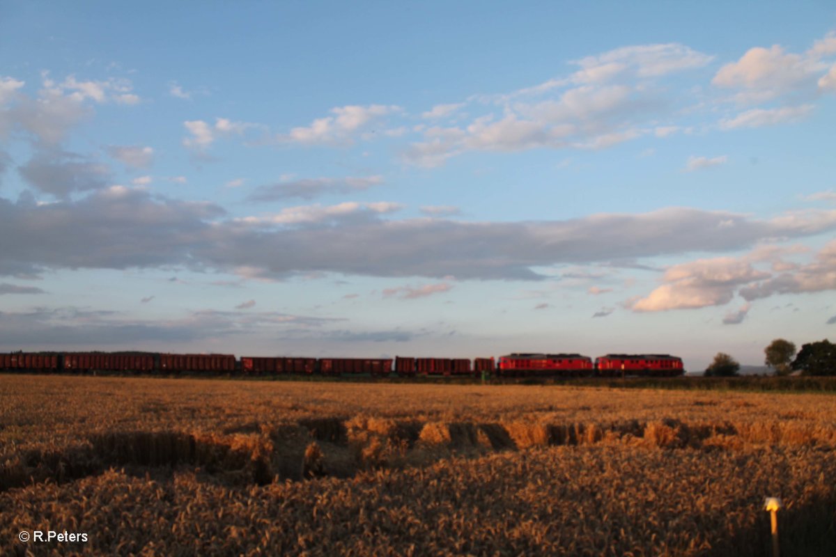 233 306 + 233 322 ziehen mit dem 45366 XTCH - NNR bei Oberteich vorbei. 29.06.17