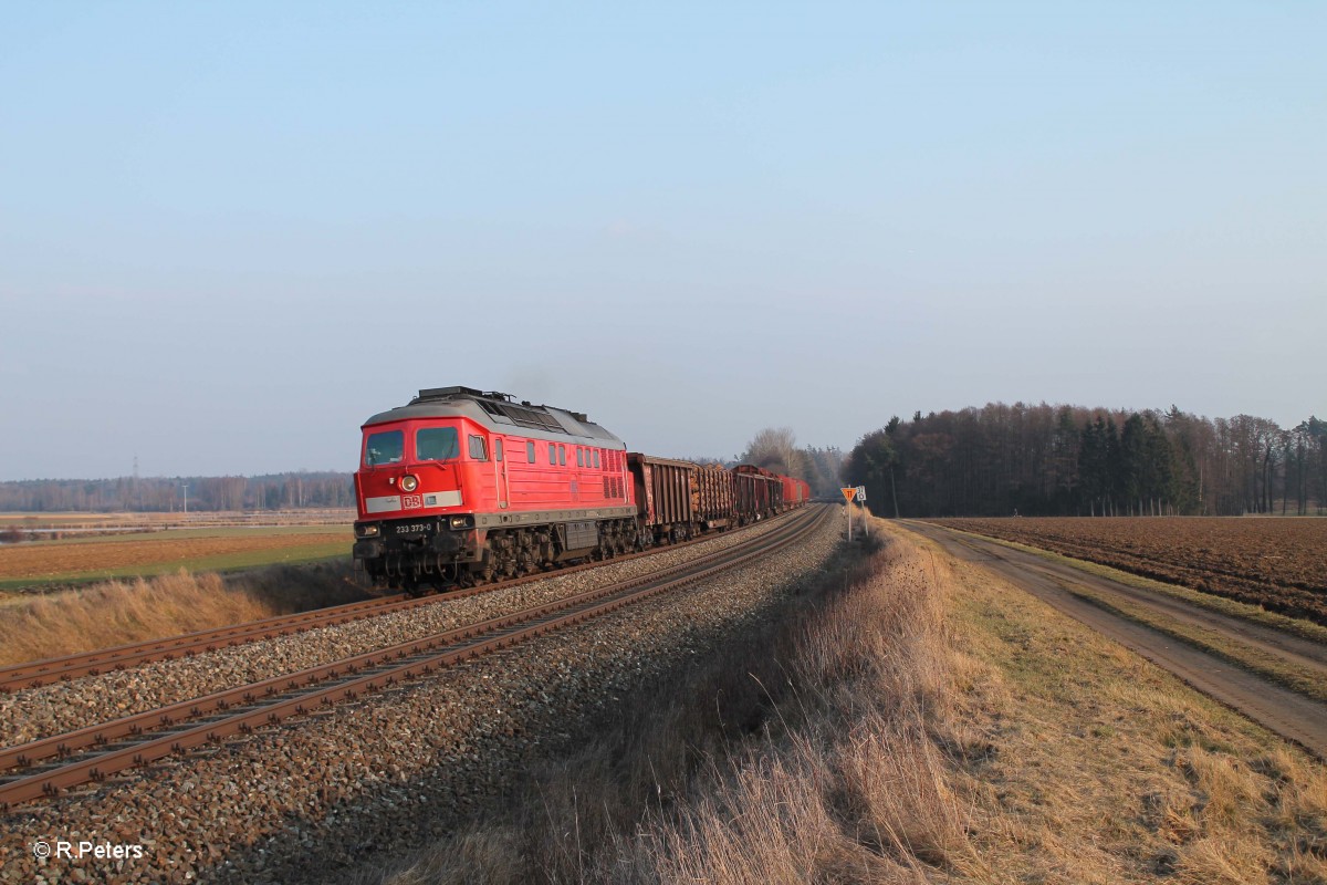 233 373-0 mit der 51643 Wagenübergabe Nürnberg - Marktredwitz bei Oberteich. 02.03.14