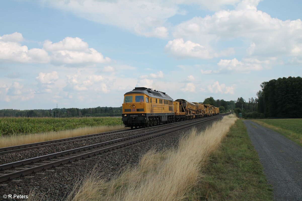 233 493 mit einem Bauzug aus Regensburg nach Hof bei Oberteich. 21.08.22