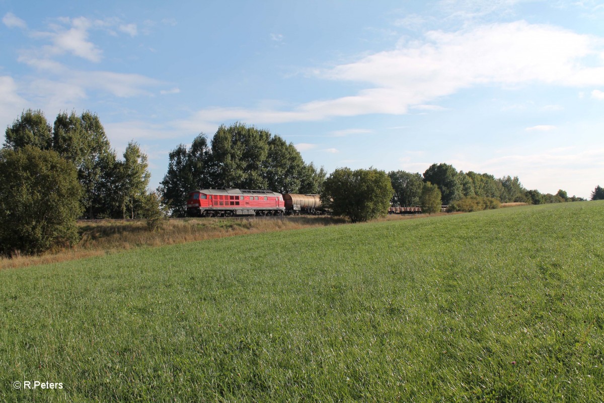 233 521-4 mit dem 45369 Nrnberg - Cheb bei Schnfeld. 30.09.13