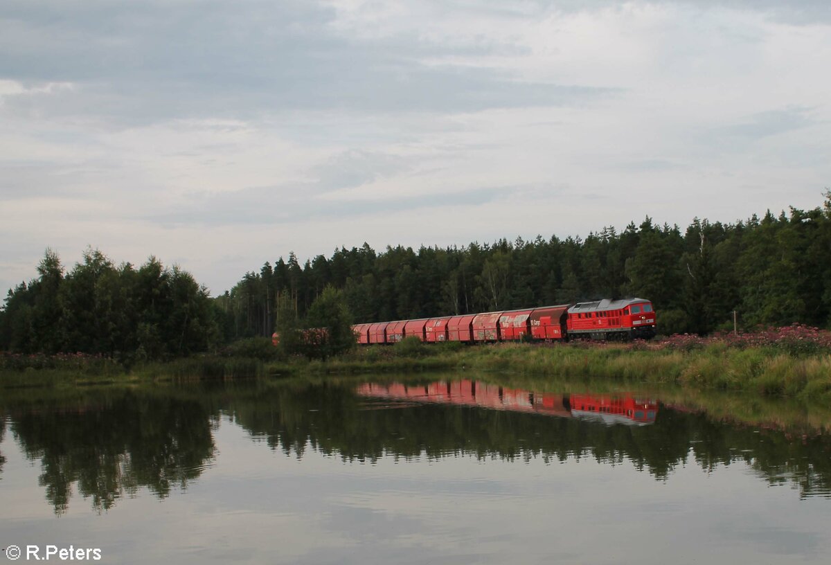 233 521 mit dem GAG 44330 Gipszug aus CZ , zwischen Wiesau und Reuth bei Erbendorf. 12.08.21