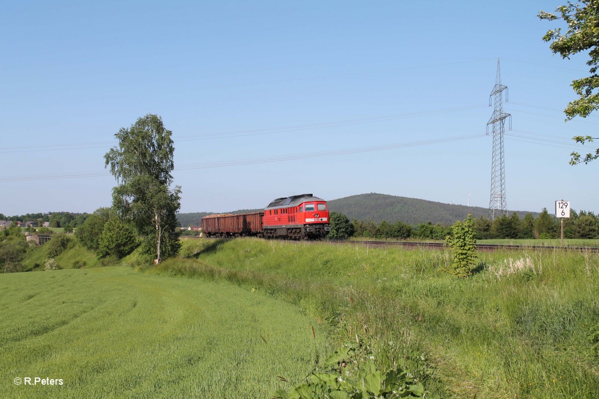 233 636-8 hat gerade das Seußener Viadukt passiert mit dem 45366 XTCH - NNR. 04.06.15