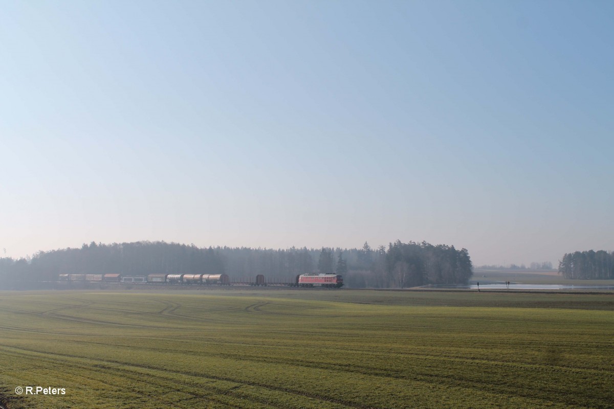 233 698 zieht bei Oberteich den EZ51721 NNR - Leipzig Engeldsdorf. 18.03.16