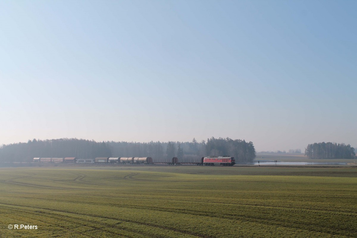 233 698 zieht bei Oberteich den EZ51721 NNR - Leipzig Engeldsdorf. 18.03.16