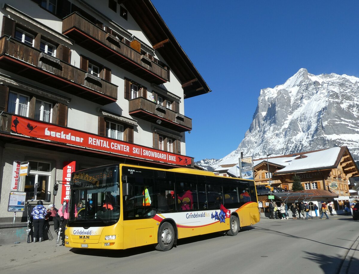 (233'286) - Grindelwaldbus, Grindelwald - Nr. 14/BE 202'568 - MAN/Gppel am 27. Februar 2022 in Grindelwald, Firstbahn