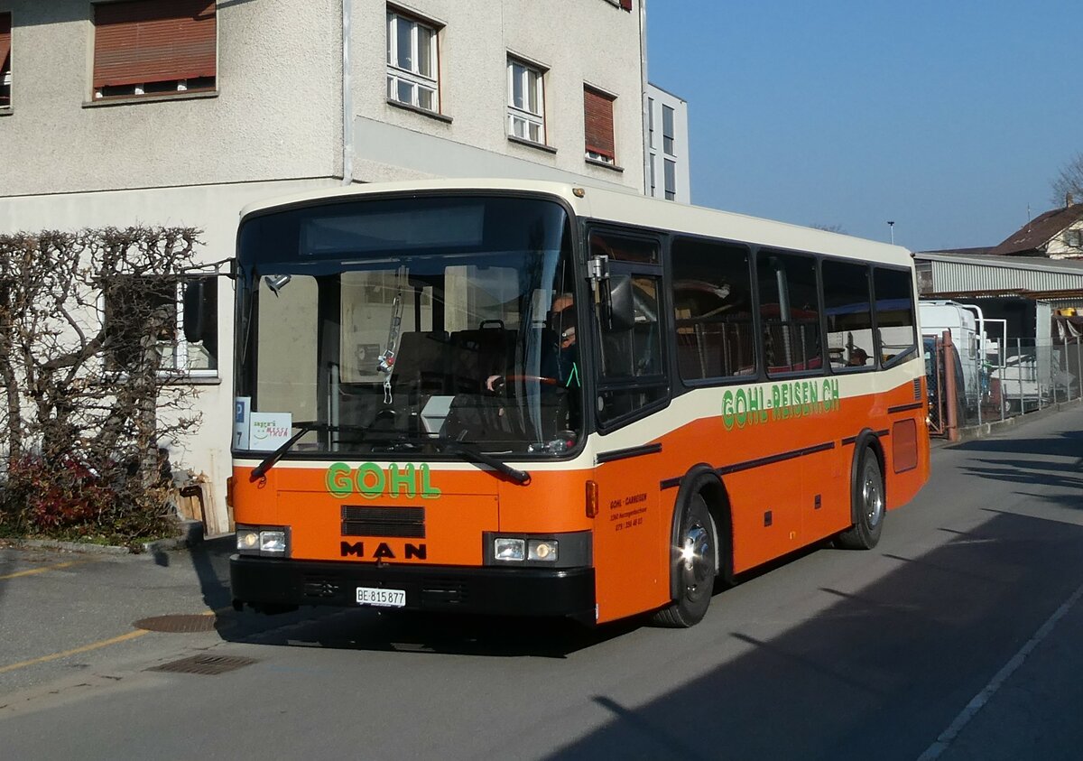 (233'388) - Gohl, Herzogenbuchsee - BE 815'877 - MAN/Lauber (ex AMSA Chiasso Nr. 19; ex Tresch, Amsteg) am 6. Mrz 2022 in Thun, Alpenstrasse