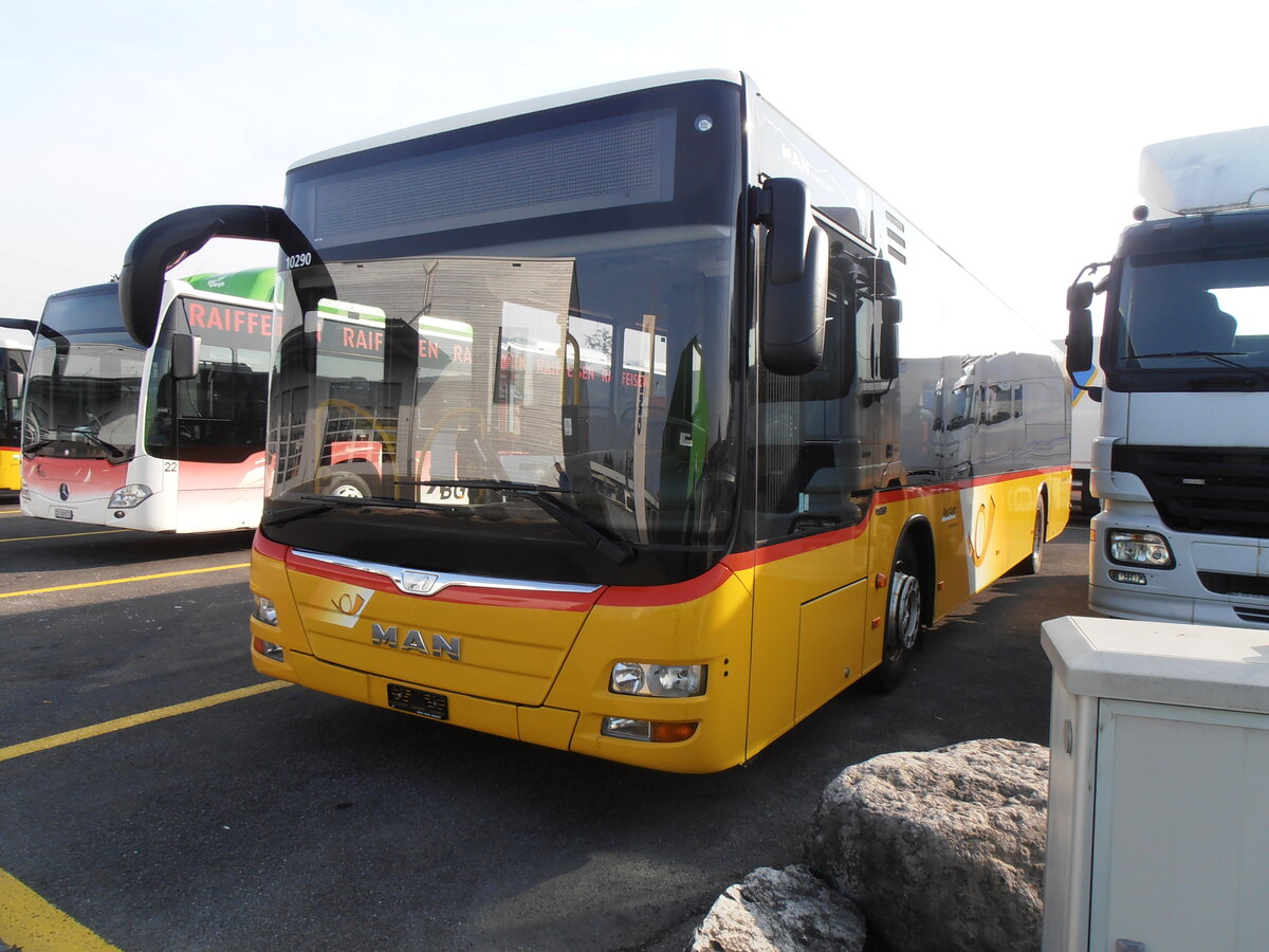 (233'859) - PostAuto Zentralschweiz - PID 10'290 - MAN (ex Mattli, Wassen) am 12. Mrz 2022 in Kerzers, Interbus