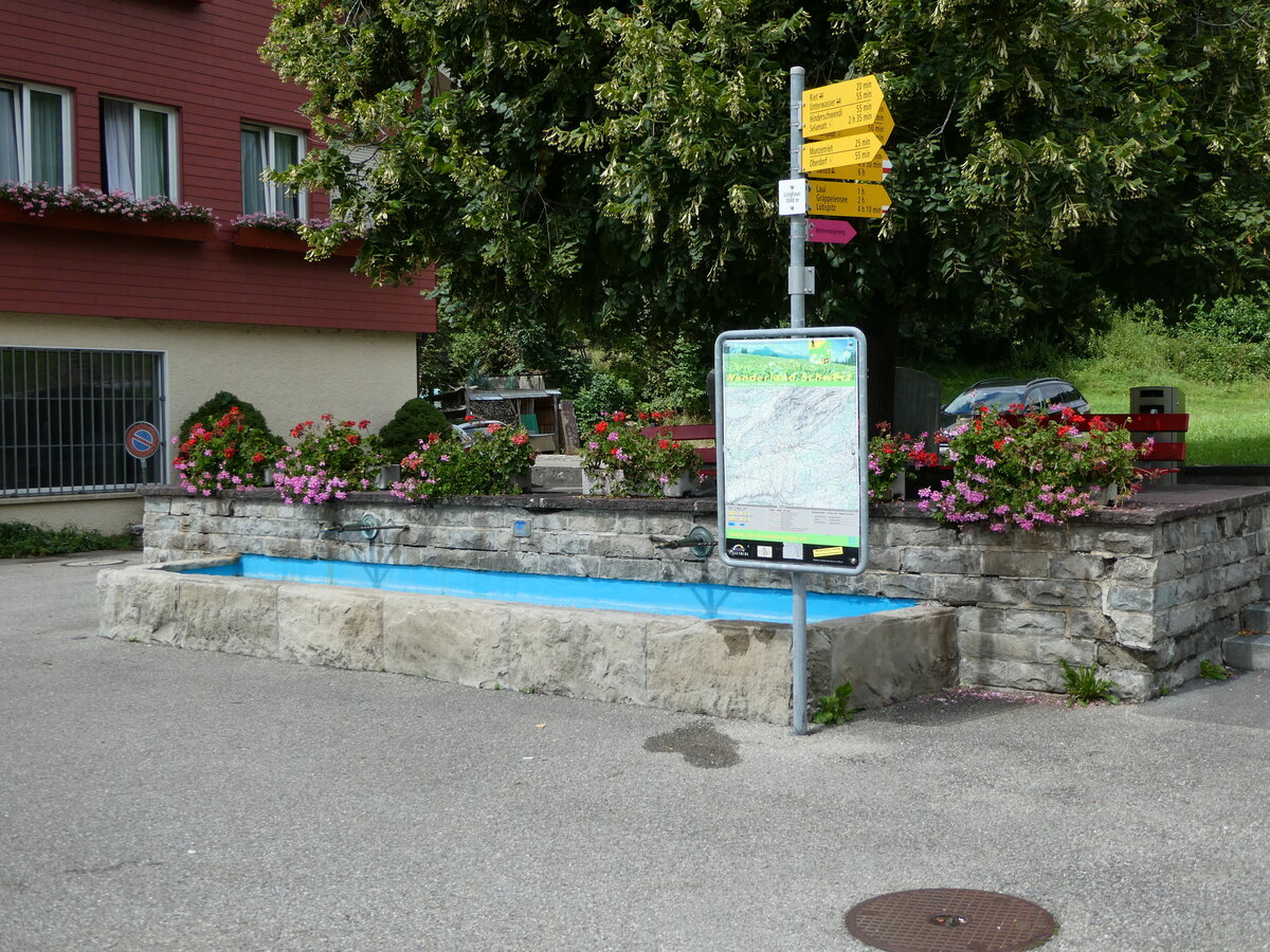 (239'236) - Brunnen am 20. August 2022 in Wildhaus, Lisighaus