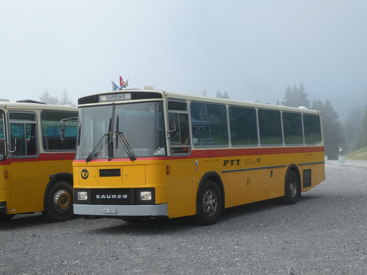 (239'782) - Roth, Zrich - SH 36'376 - Saurer/Tscher (ex Looser, Elm; ex Mattli, Wassen) am 28. August 2022 in Stalden, Langis