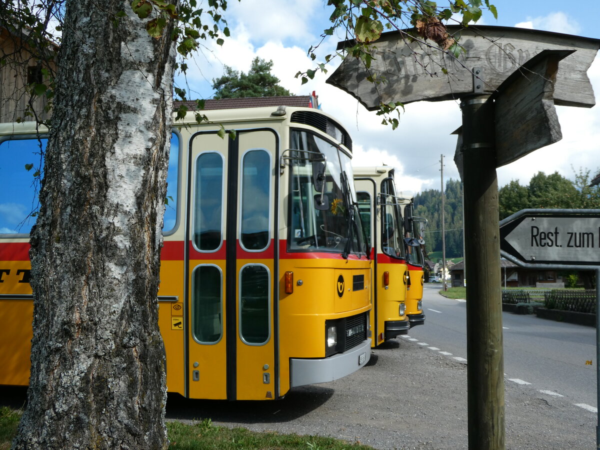 (239'881) - Roth, Zrich - SH 36'376 - Saurer/Tscher (ex Looser, Elm; ex Mattli, Wassen) am 28. August 2022 in Schwarzenegg, Restaurant Kreuz (Teilaufnahme)