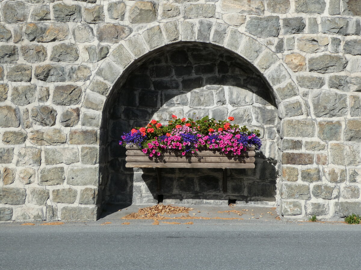 (241'092) - Blumenschmuck in der Mauer am 12. Oktober 2022 beim Bahnhof St. Moritz