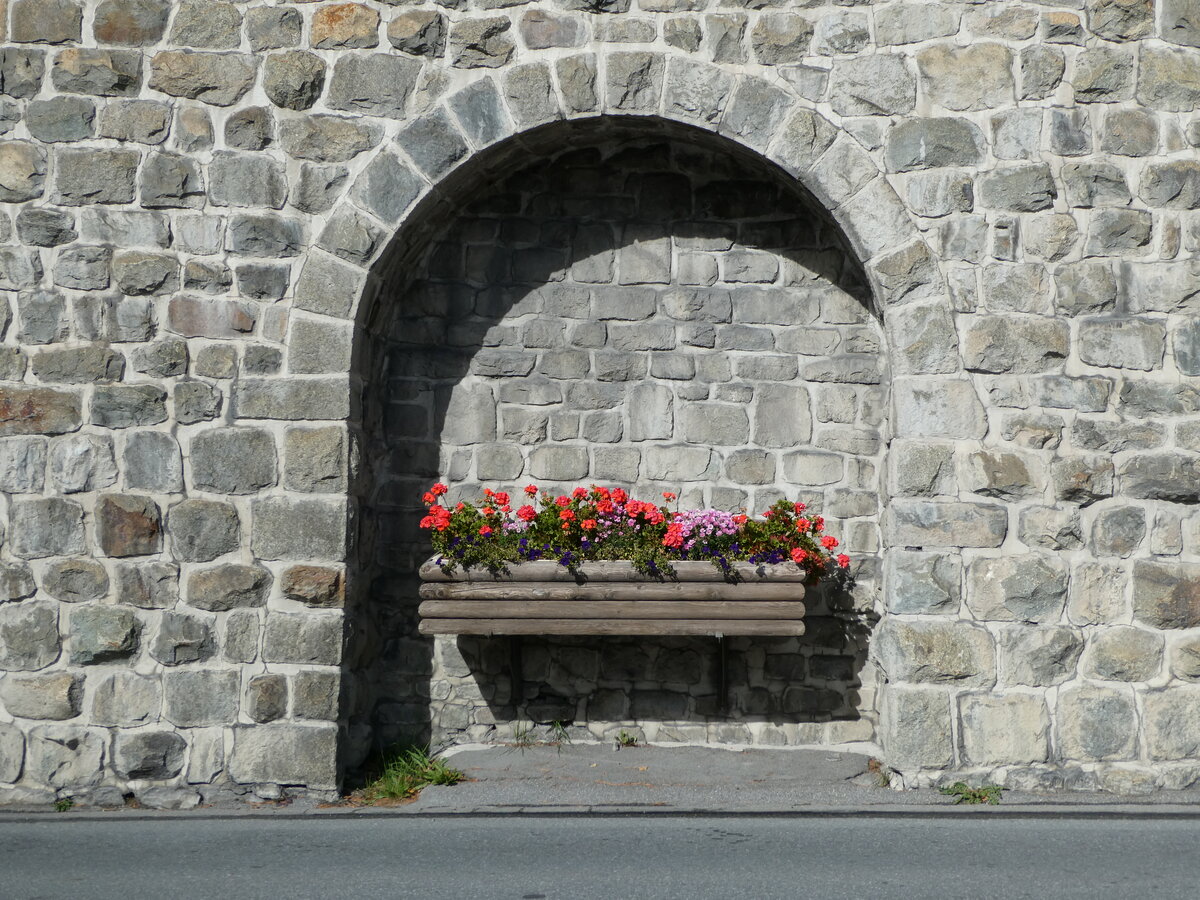 (241'096) - Blumenschmuck in der Mauer am 12. Oktober 2022 beim Bahnhof St. Moritz