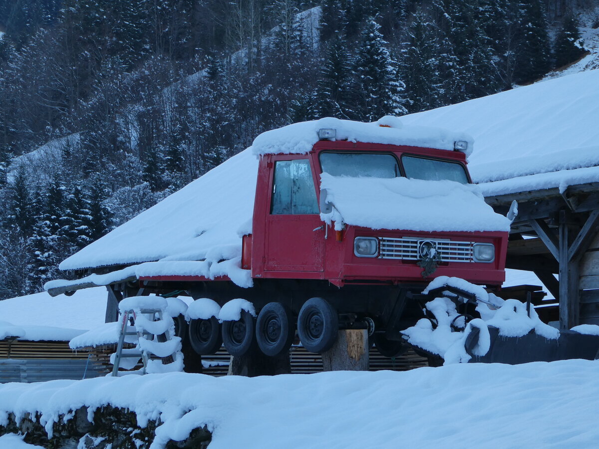 (243'618) - K�ssbohrer am 8. Dezember 2022 in Riemenstalden