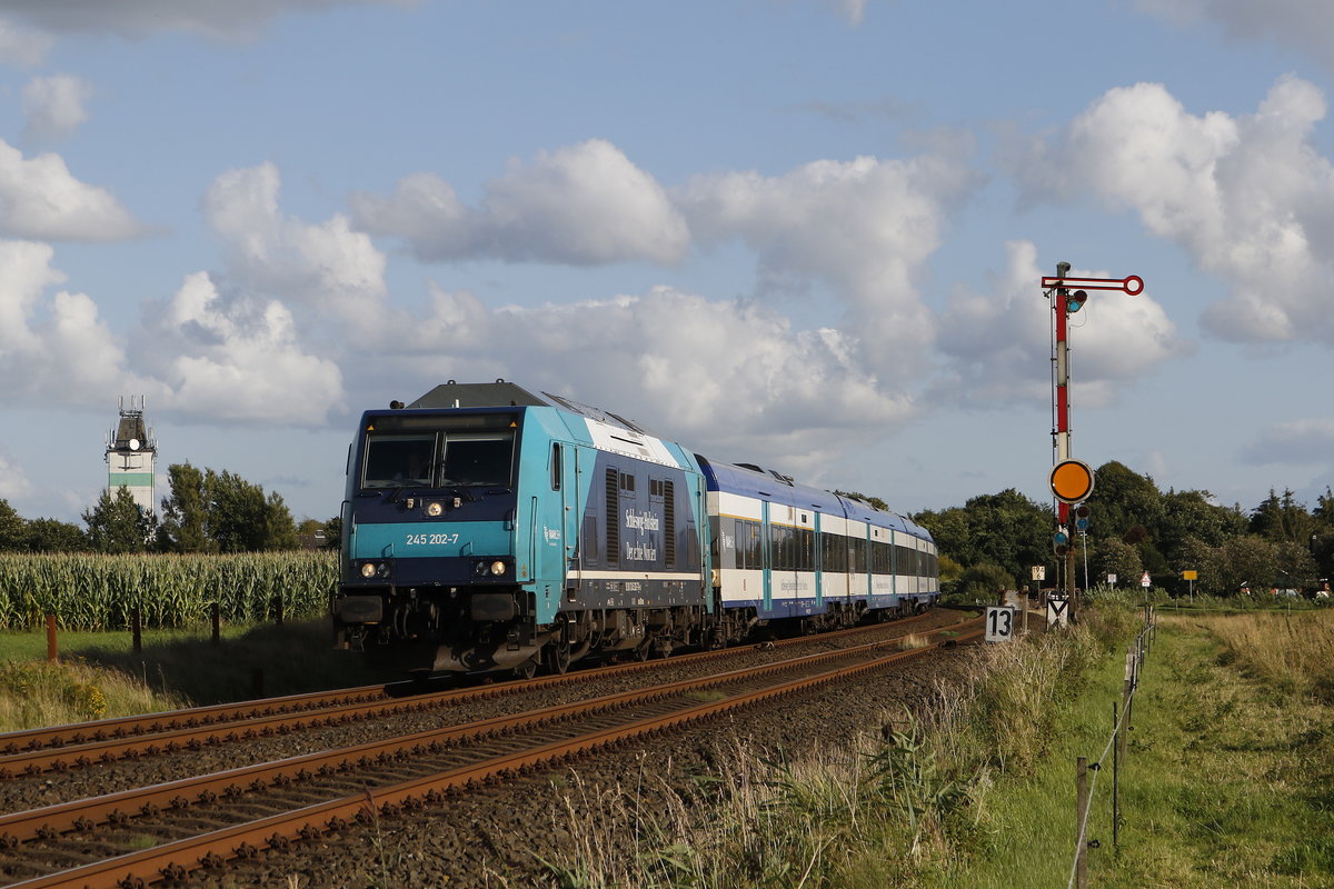 245 202-7 mit einem Regionalzug am 13. August 2017 bei Risum-Lindholm.