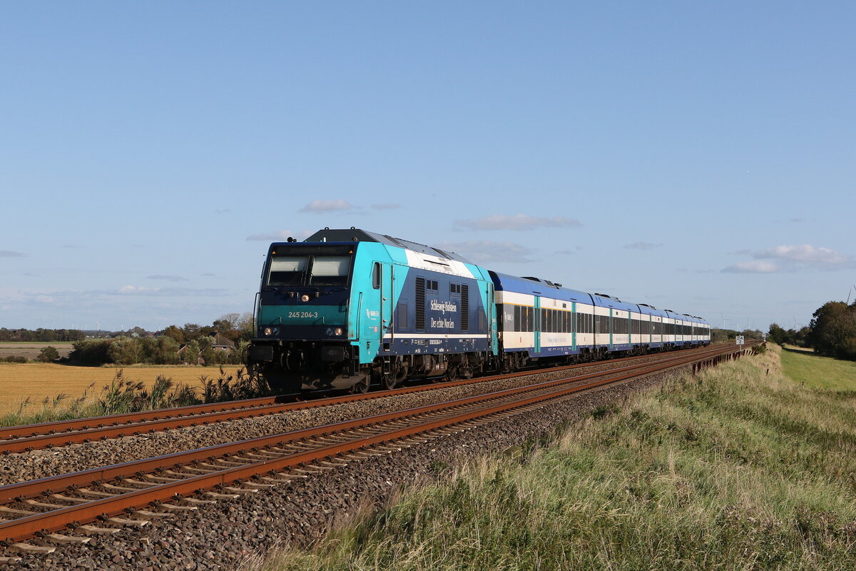 245 204 auf dem Weg nach  Westerland/Sylt  am 13. September 2023 bei Klanxbll.