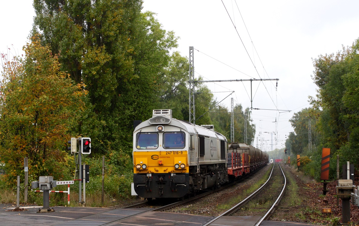 247 016 am 18.10.13 in Bochum Riemke