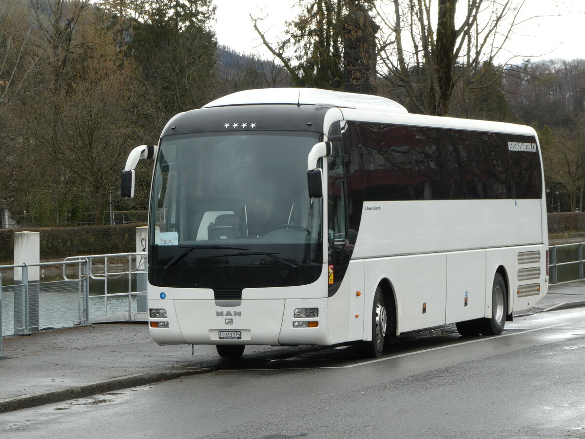 (247'755) - Bihtours, Schlieren - TI 313'175 - MAN am 26. Mrz 2023 bei der Schifflndte Thun