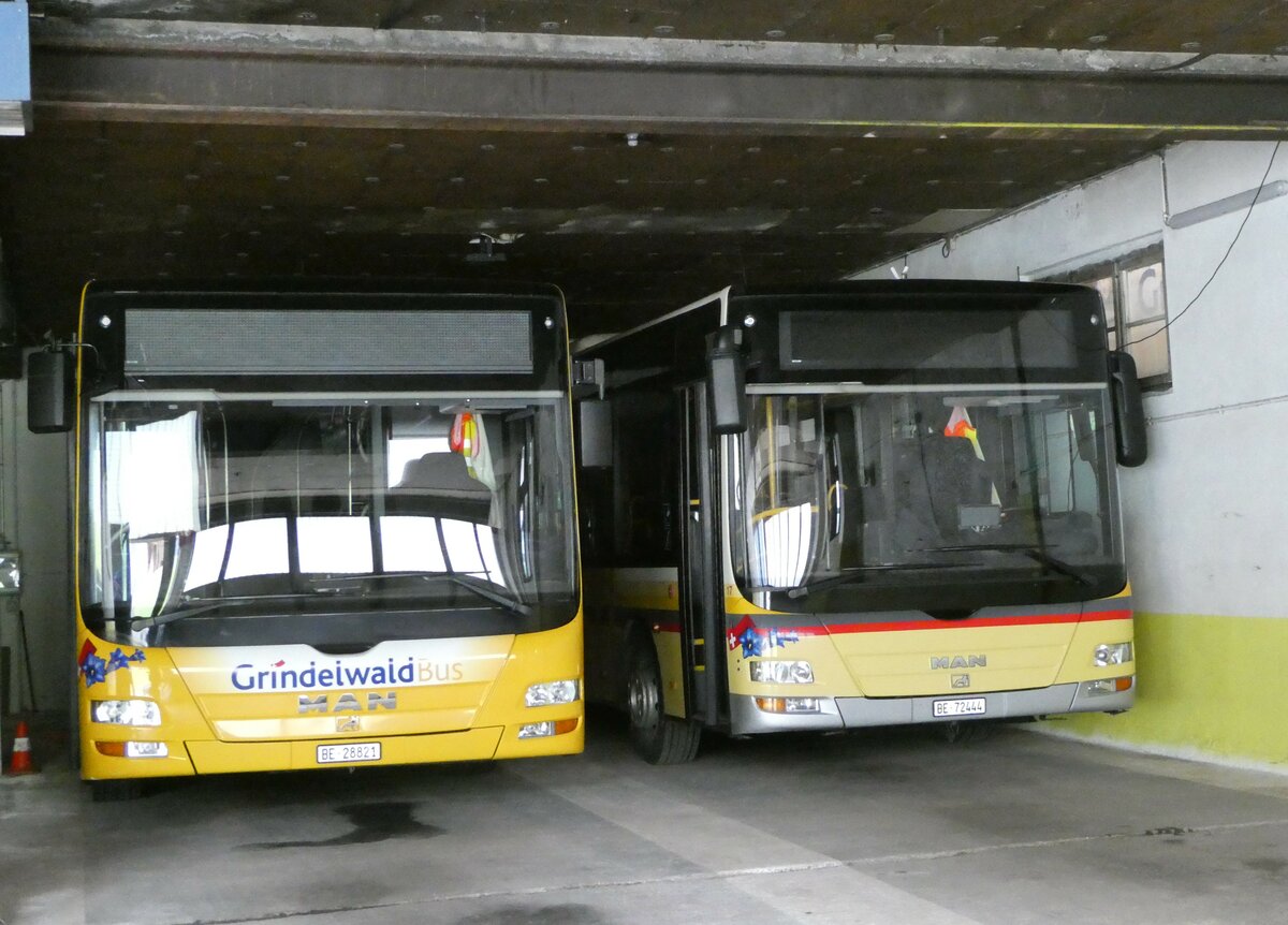 (248'828) - Grindelwaldbus, Grindelwald - Nr. 16/BE 28'821 - MAN + Nr. 17/BE 72'444 - MAN/Gppel (ex STI Thun Nr. 133) am, 18. April 2023 in Grindelwald, Garage