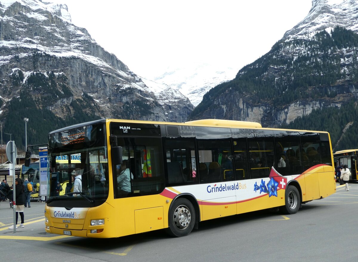 (248'844) - Grindelwaldbus, Grindelwald - Nr. 11/BE 261'865 - MAN/Gppel am 18. April 2023 beim Bahnhof Grindelwald