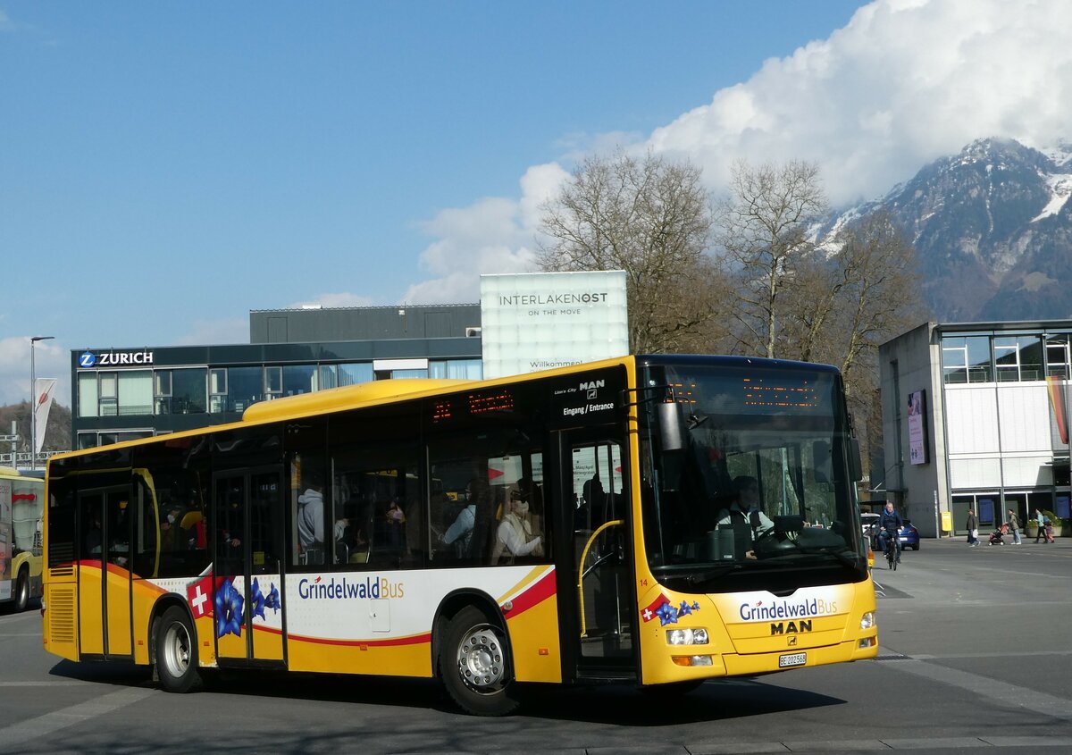 (248'917) - Grindelwaldbus, Grindelwald - Nr. 14/BE 202'568 - MAN/Gppel am 19. April 2023 beim Bahnhof Interlaken Ost