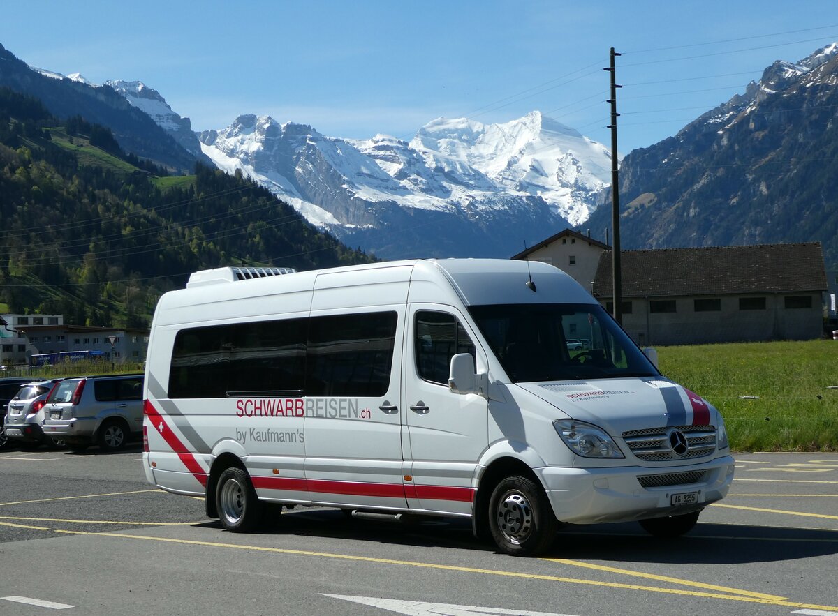 (249'538) - Kaufmann's Schwarb-Reisen, Mhlin - AG AG 8255 - Mercedes am 4. Mai 2023 in Frutigen, Tropenhaus