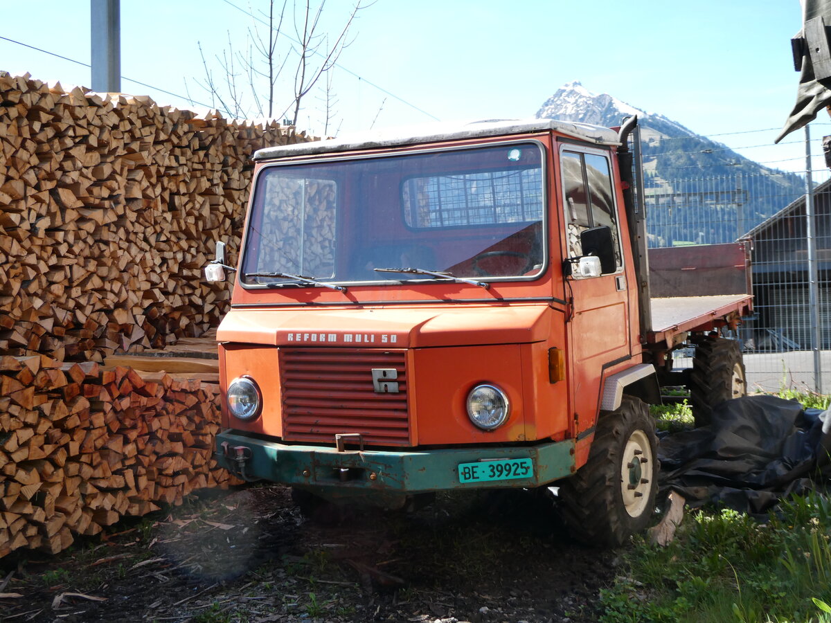 (249'541) - Reform Muli - BE 39'925 - am 4. Mai 2023 in Frutigen
