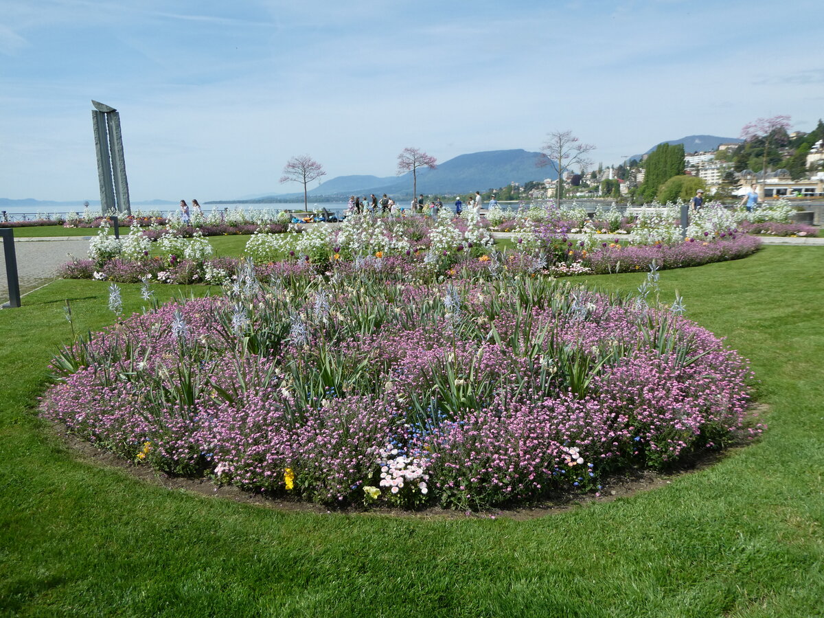 (249'606) - Blumenbeet am 5. Mai 2023 in Neuch�tel