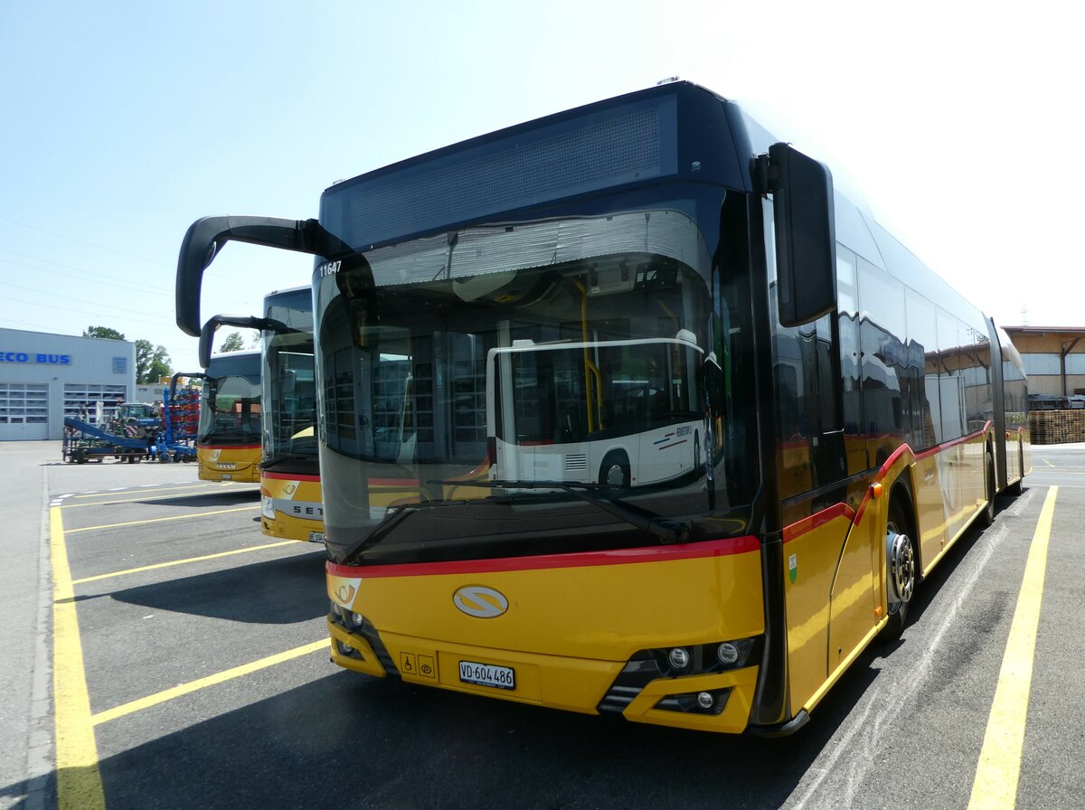 (250'713) - CarPostal Ouest - VD 604'486/PID 11'647 - Solaris am 29. Mai 2023 in Kerzers, Interbus