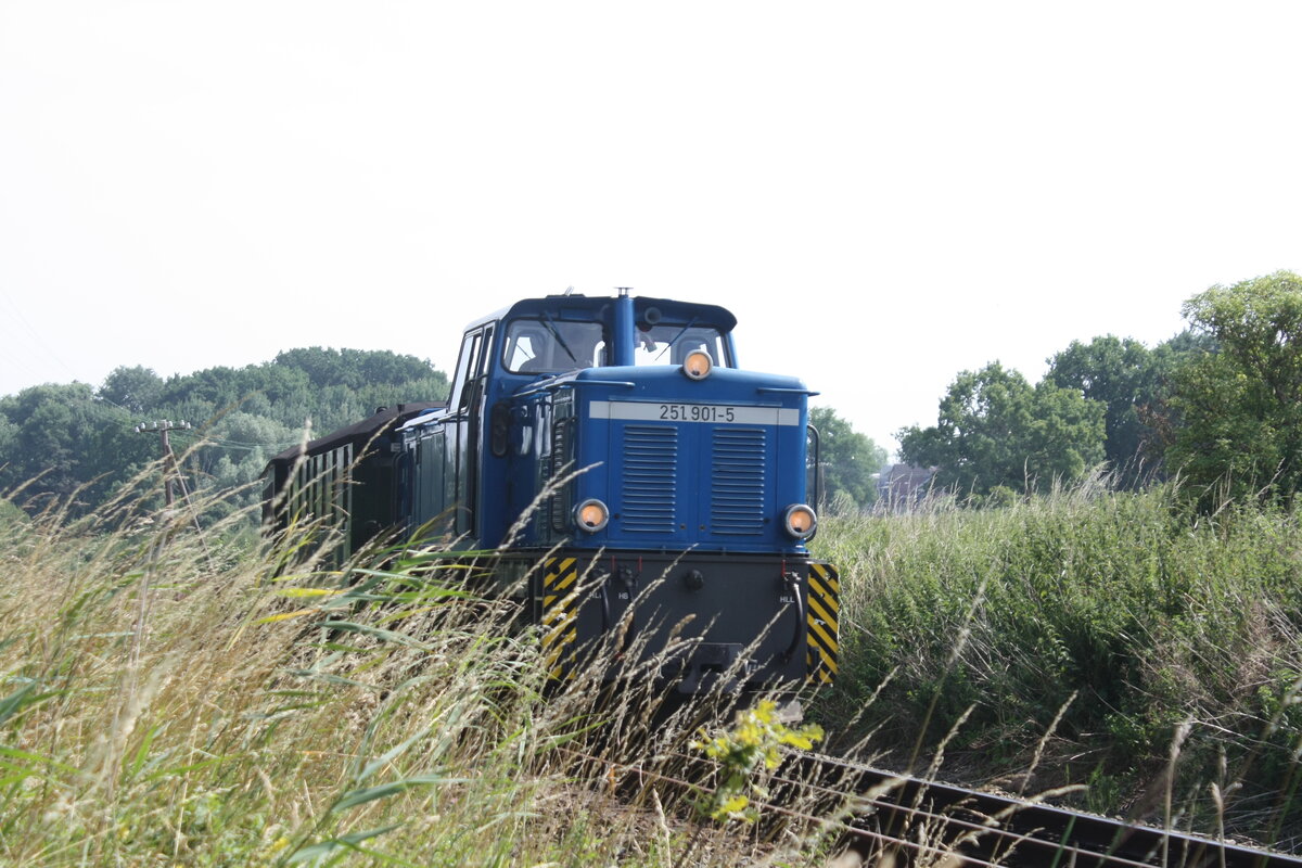 251 901 der RBB unterwegs nach Putbus am 26.7.21