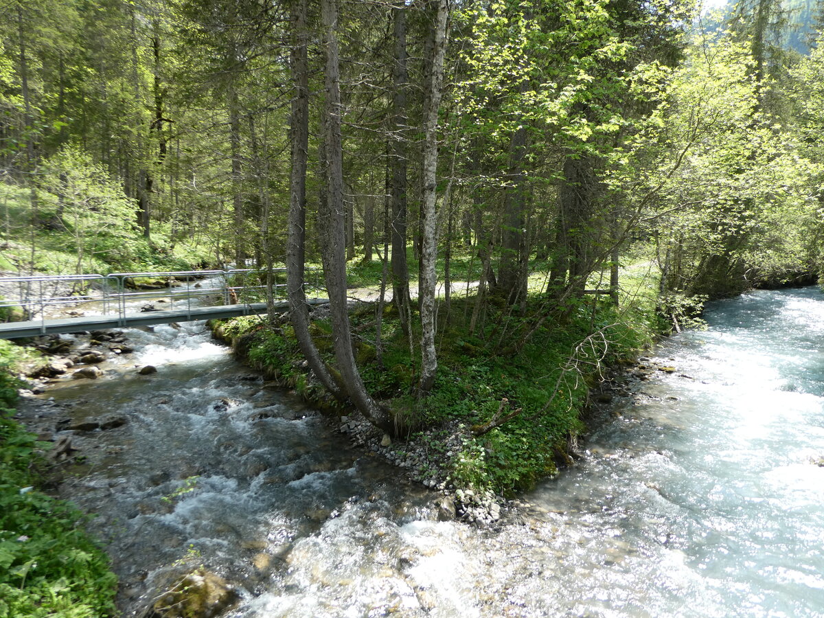 (251'133) - Bach- und Waldlandschaft am 6. Juni 2023 beim Lauenensee in Lauenen