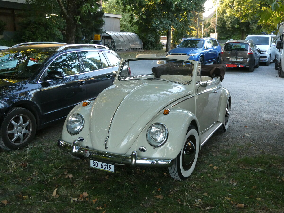 (253'882) - VW-K�fer - SO 6319 - am 18. August 2023 in Thun, Lachenwiese