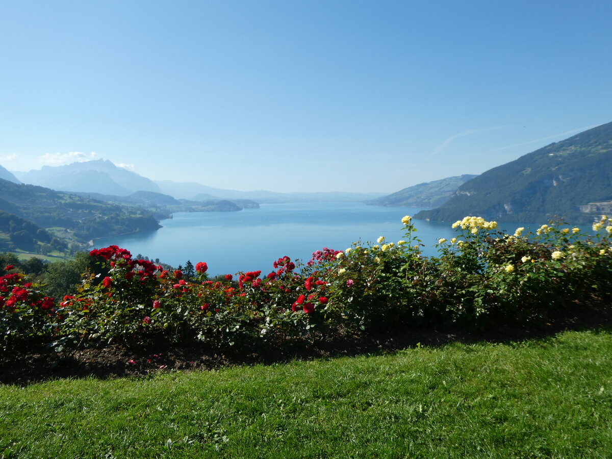 (254'819) - Der Thunersee am 5. September 2023 von der Meielisalp aus
