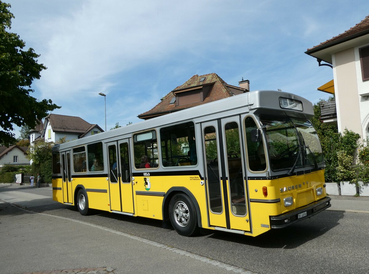 (255'342) - Wanner, Schleitheim - SH 48'096 - Saurer/Hess (ex Ruklic, Schaffhausen; ex VBSH Schaffhausen Nr. 40; ex VBSH Schaffhausen Nr. 19) am 17. September 2023 in Schaffhausen, Feldstrasse