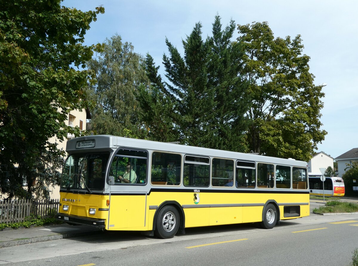 (255'348) - Wanner, Schleitheim - SH 48'096 - Saurer/Hess (ex Ruklic, Schaffhausen; ex VBSH Schaffhausen Nr. 40; ex VBSH Schaffhausen Nr. 19) am 17. September 2023 in Schaffhausen, Falkeneck