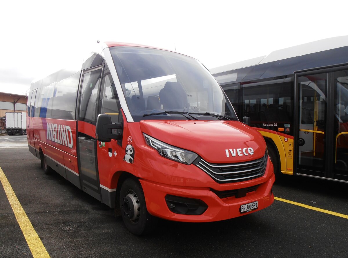 (258'078) - Wieland, Murten - Nr. 130/FR 300'591 - Iveco/Rosero am 1. Januar 2024 in Kerzers, Interbus