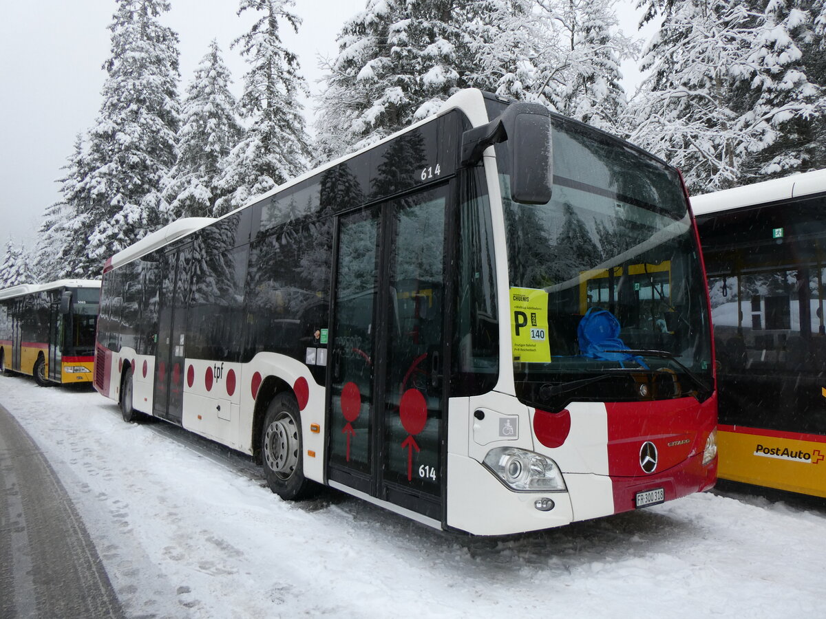 (258'262) - TPF Fribourg (Wieland 116) - Nr. 614/FR 300'318 - Mercedes am 6. Januar 2024 in Adelboden, Unter dem Birg